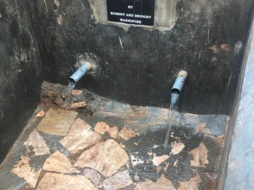 Water, Sanitation and Hygiene (WASH)