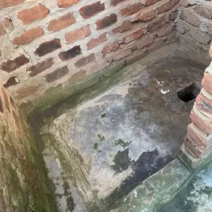 Earthquake Relief